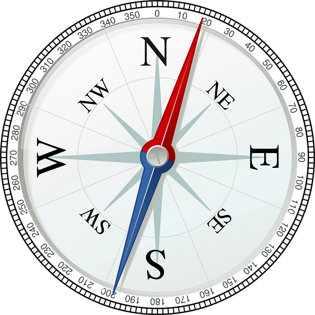 Download Compass Direction Navigation Royalty Free Vector Graphic 