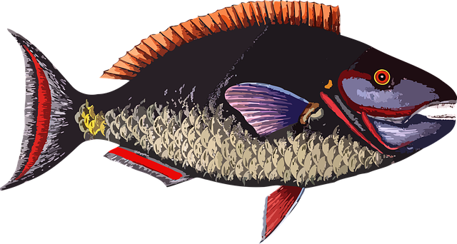 Dyr, Natur, Fisk, Hav