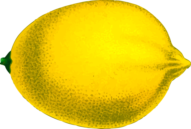 Free citrus edible food illustration