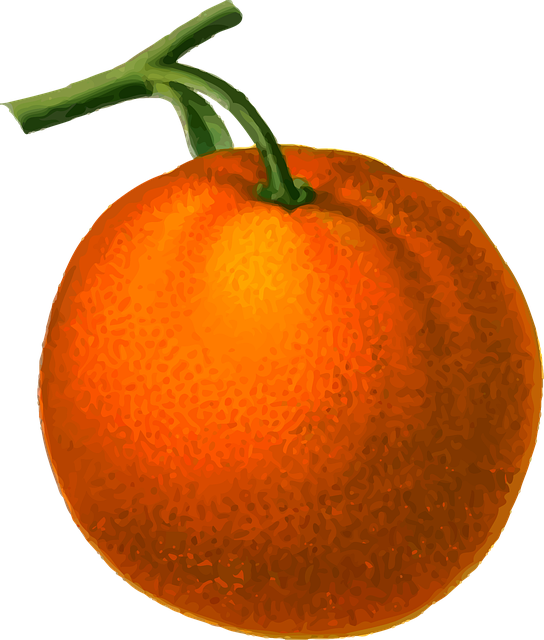 Free citrus edible food illustration