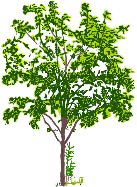 Free forest landscape nature vector