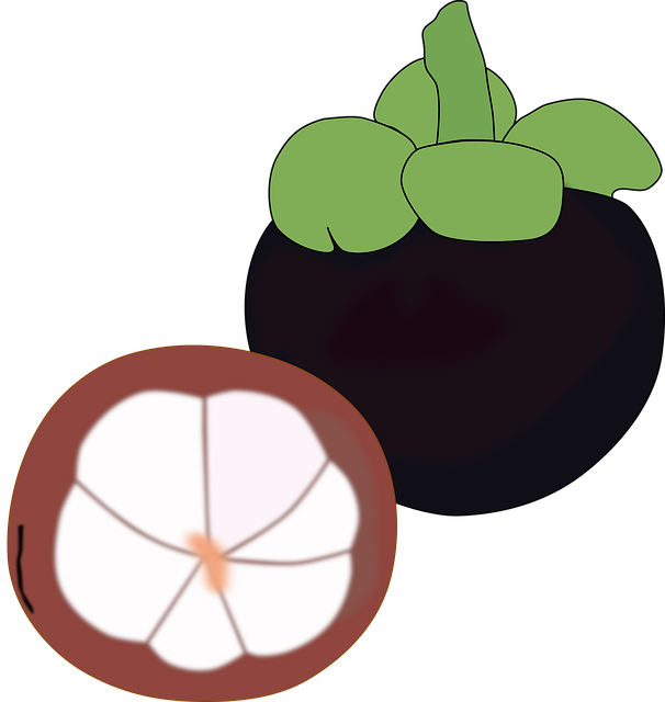 Free flat fruit fuzzy vector