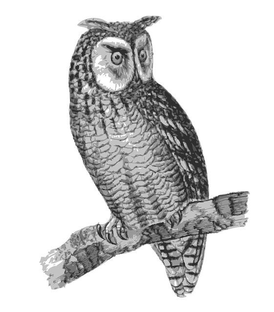 Free bird engraving owl vector