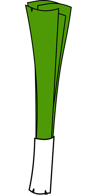 Grün, Natur, Lauch, Zwiebel, Pflanze