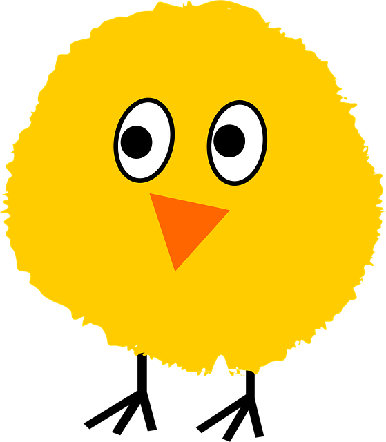 Amarillo, Küken, Flauschige, Gelb, Küken