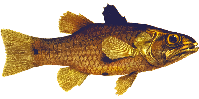 Free animal fish ocean vector