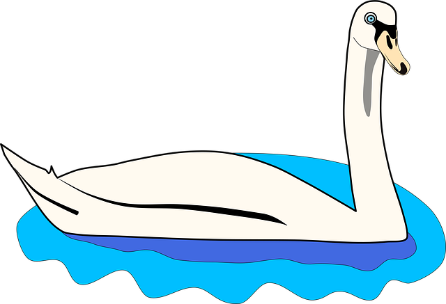 Free swan bird waterfowl illustration