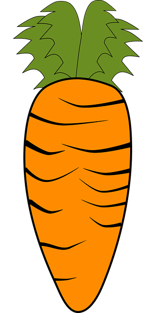 Free carrot vegetables orange vector