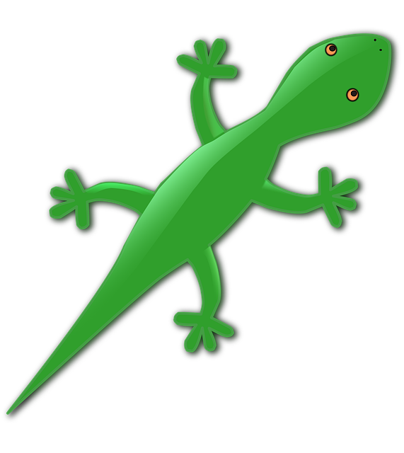 Tier, Natur, Gecko, Eidechse