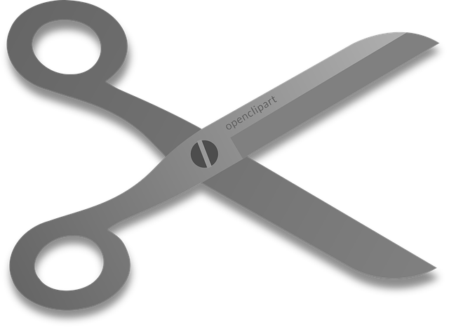 Free scissors cut hairdresser illustration