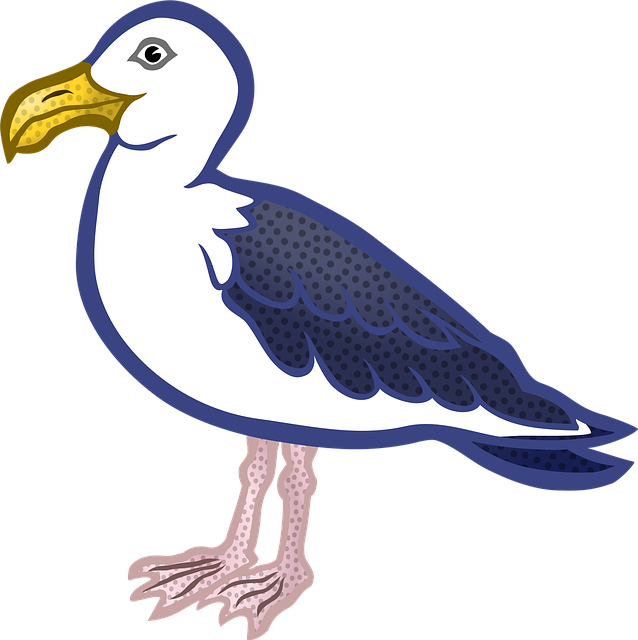 Free animal bird nature vector