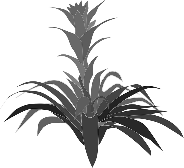 Free clip art flower background beautiful flowers vector