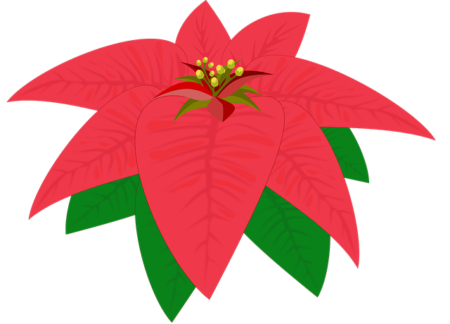 Free bico de papagaio clip art flor vector