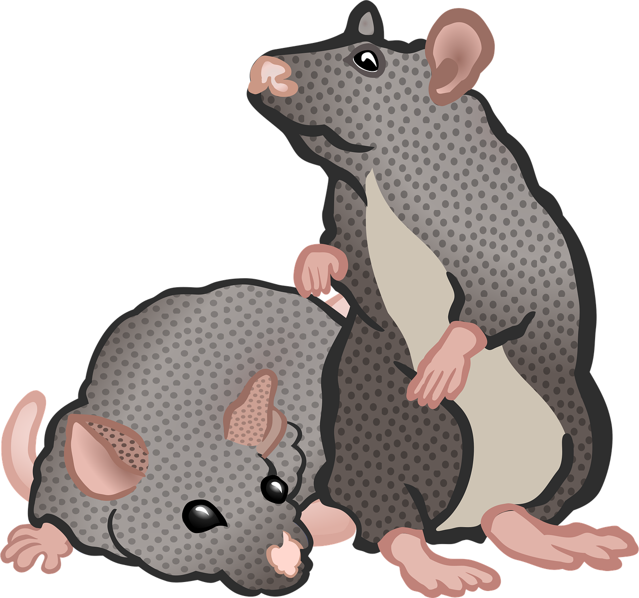 Download Animal Animals Education Royalty Free Vector Graphic Pixabay Download Animal Animals Education Royalty Free Vector Graphic Pixabay