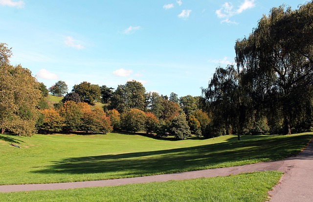 Park, Greenwich, Anglicko, Príroda