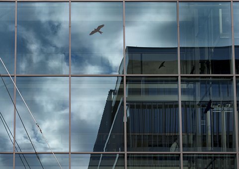 Free Architecture Reflection photo and picture