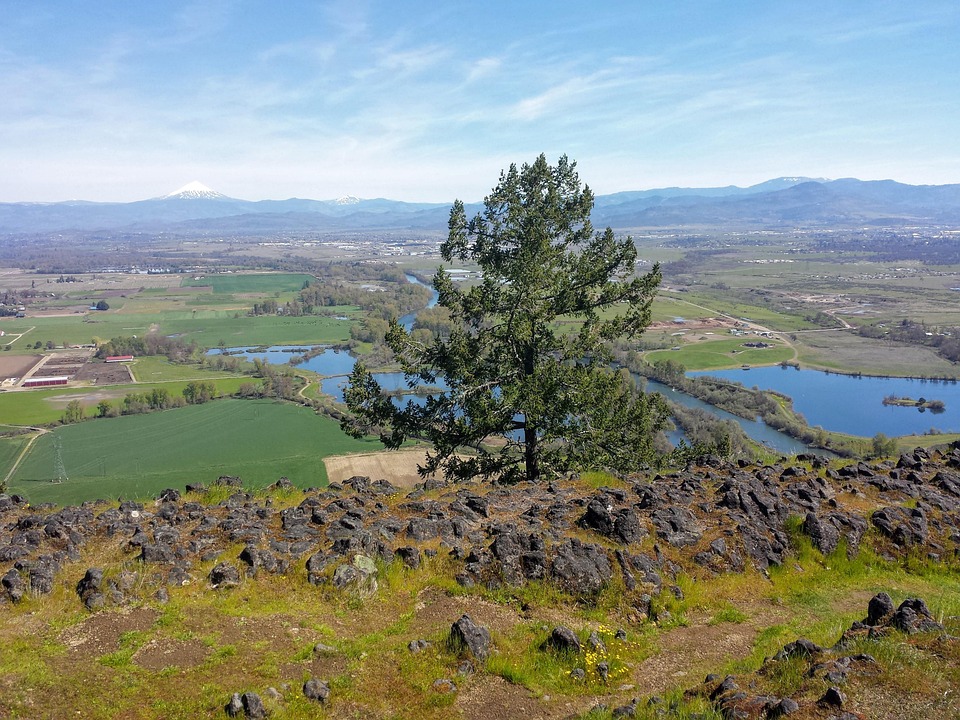 Río Árbol Vista - Foto gratis en Pixabay - Pixabay