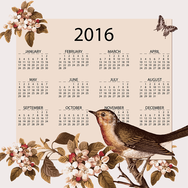 Free vintage bird animal vector