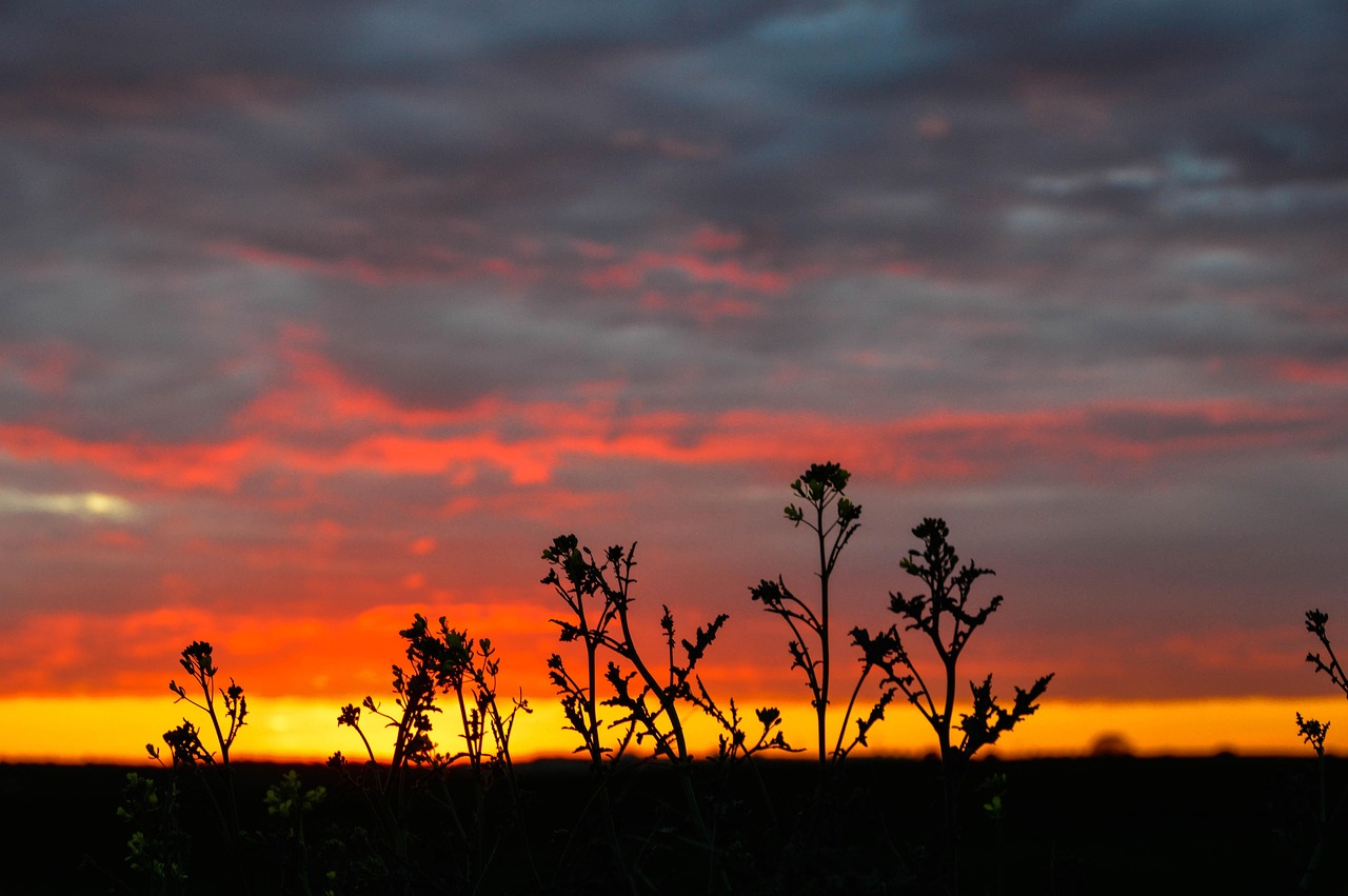 Colores Cielo Atardecer - Foto gratis en Pixabay - Pixabay