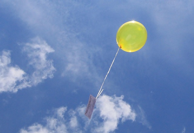 Free Freedom Balloon photo and picture