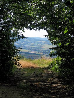 View Forest Mountains Window Landscape Tre View Forest Mountains Window Landscape Tre