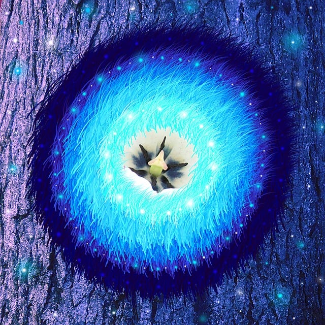 Free mandala flower nature illustration