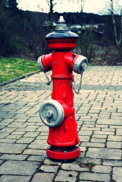 Free Hydrant Fire Fighters photo and picture