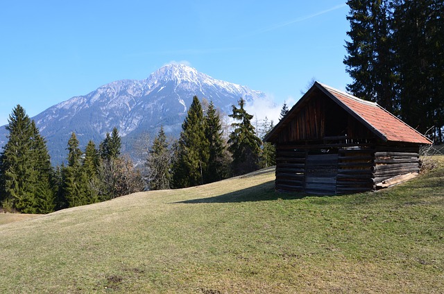 Free Vacations Alps photo and picture