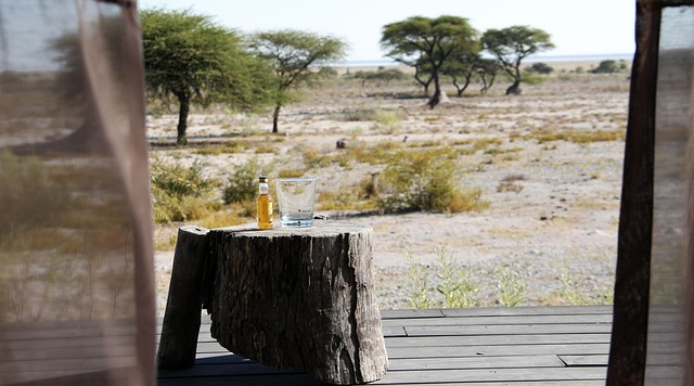 Free Steppe Namibia photo and picture