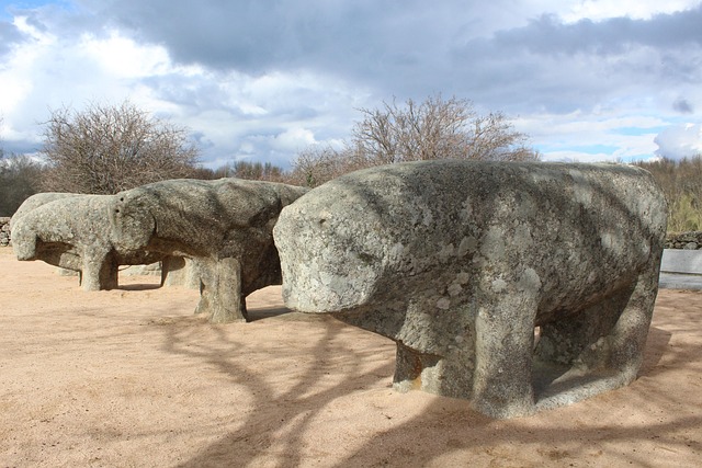 Free Guillando Stewing Bulls photo and picture