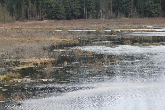 Lagune, Natuur, Verdoving, Water