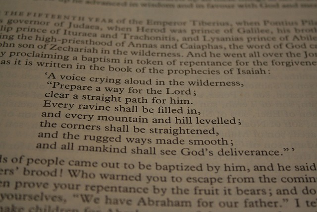 Free Bible Reading photo and picture