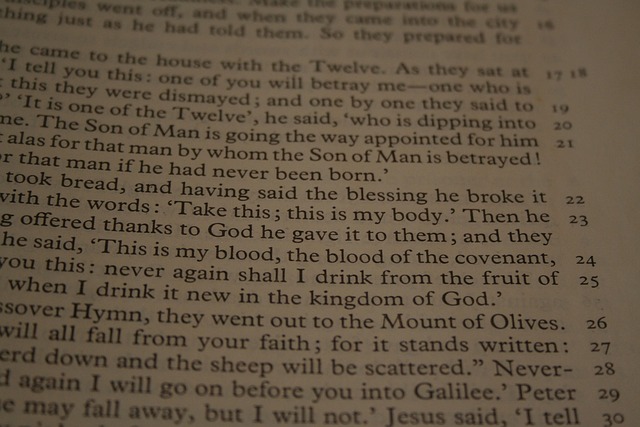 Free Bible Reading photo and picture