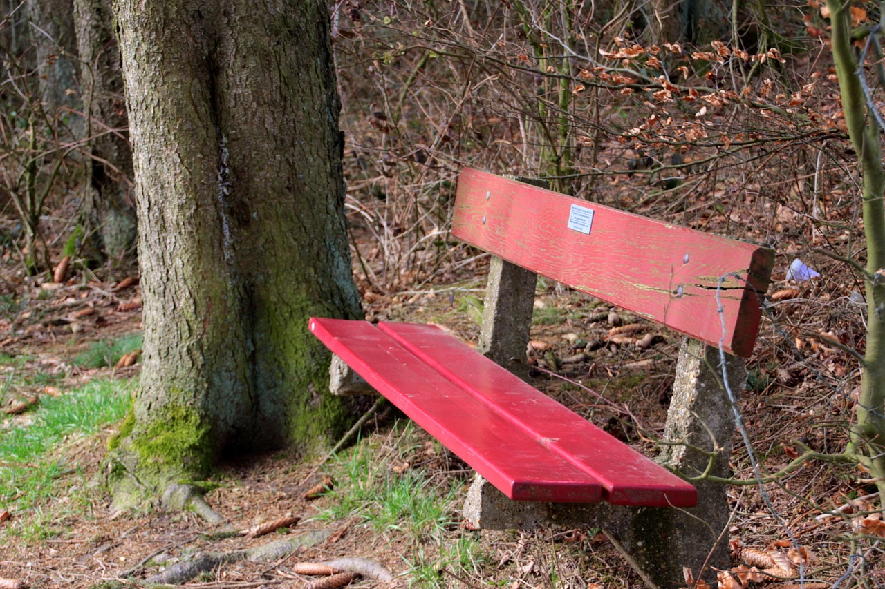 Bank Tree Quiet - Free photo on Pixabay - Pixabay