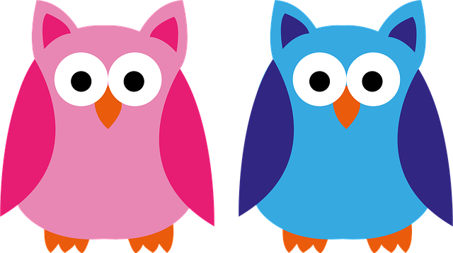 Free owl blue pink vector