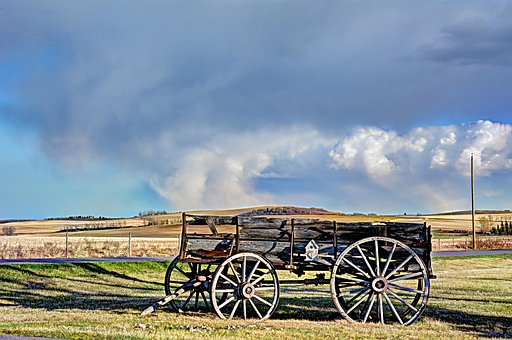 Free Wagon Alberta photo and picture