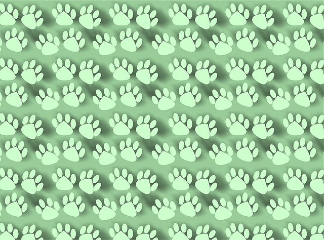 Free fill animal feet illustration