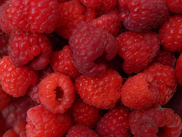 Free Fruit Raspberry photo and picture