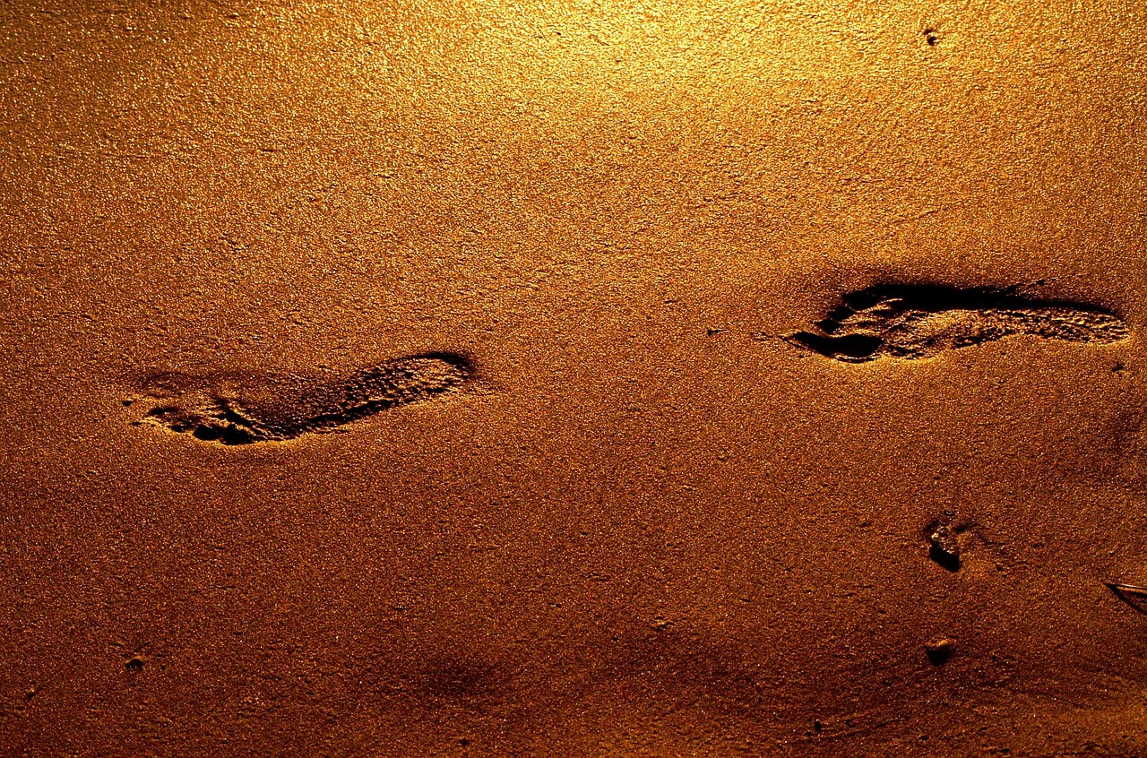 100,000+ Free Step Up & Steps Images - Pixabay