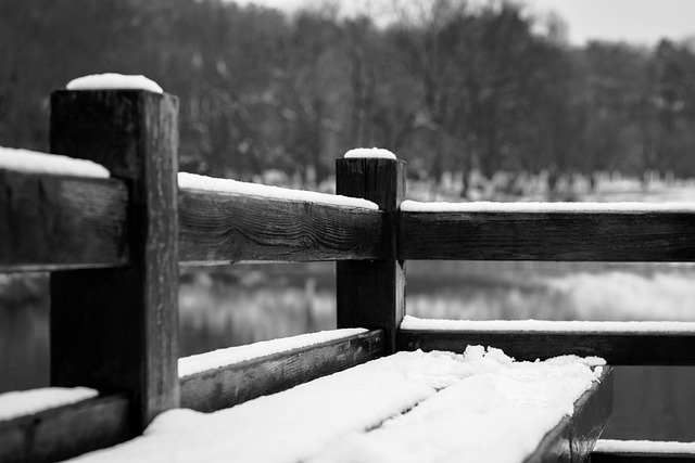 Free Snow Black And White photo and picture