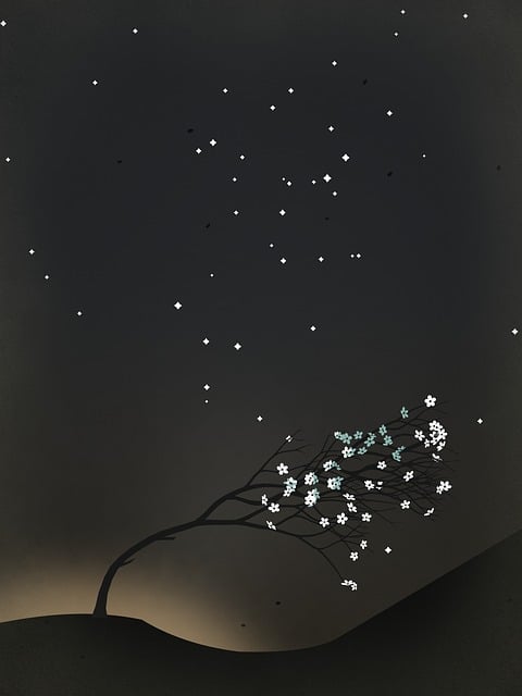 Free night nature star illustration