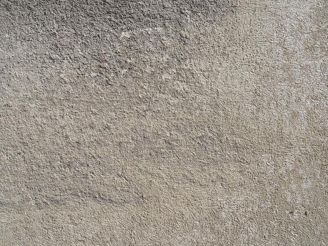 Free Grunge Wall photo and picture