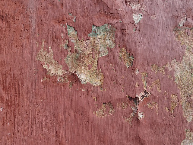 Free Grunge Wall photo and picture