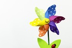 colourful, flowers, spring