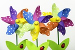 colourful, flowers, spring