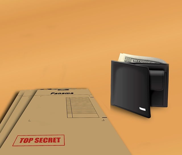 Free panama papers wallet illustration