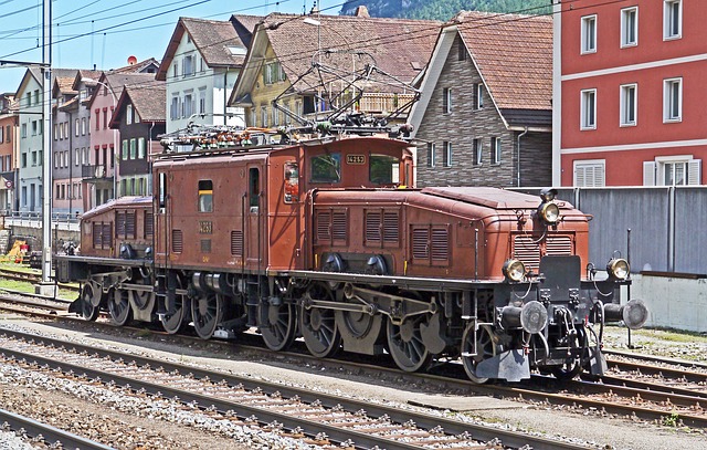 Free Sbb-Historic Crocodile photo and picture