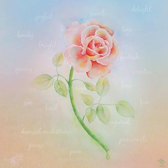 Rose, Poesie, Weinen, Fehler