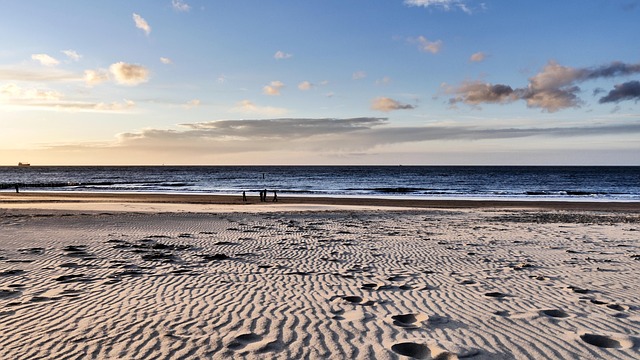 Free Beach Sunset photo and picture