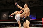 mixed martial arts, sport, kick